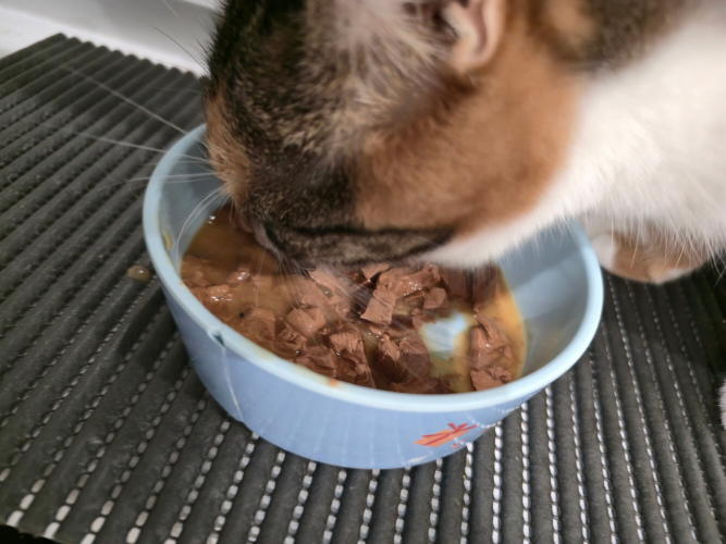 Magdalena, Kędzierzyn-Koźle Magdalena, Kędzierzyn-Koźle