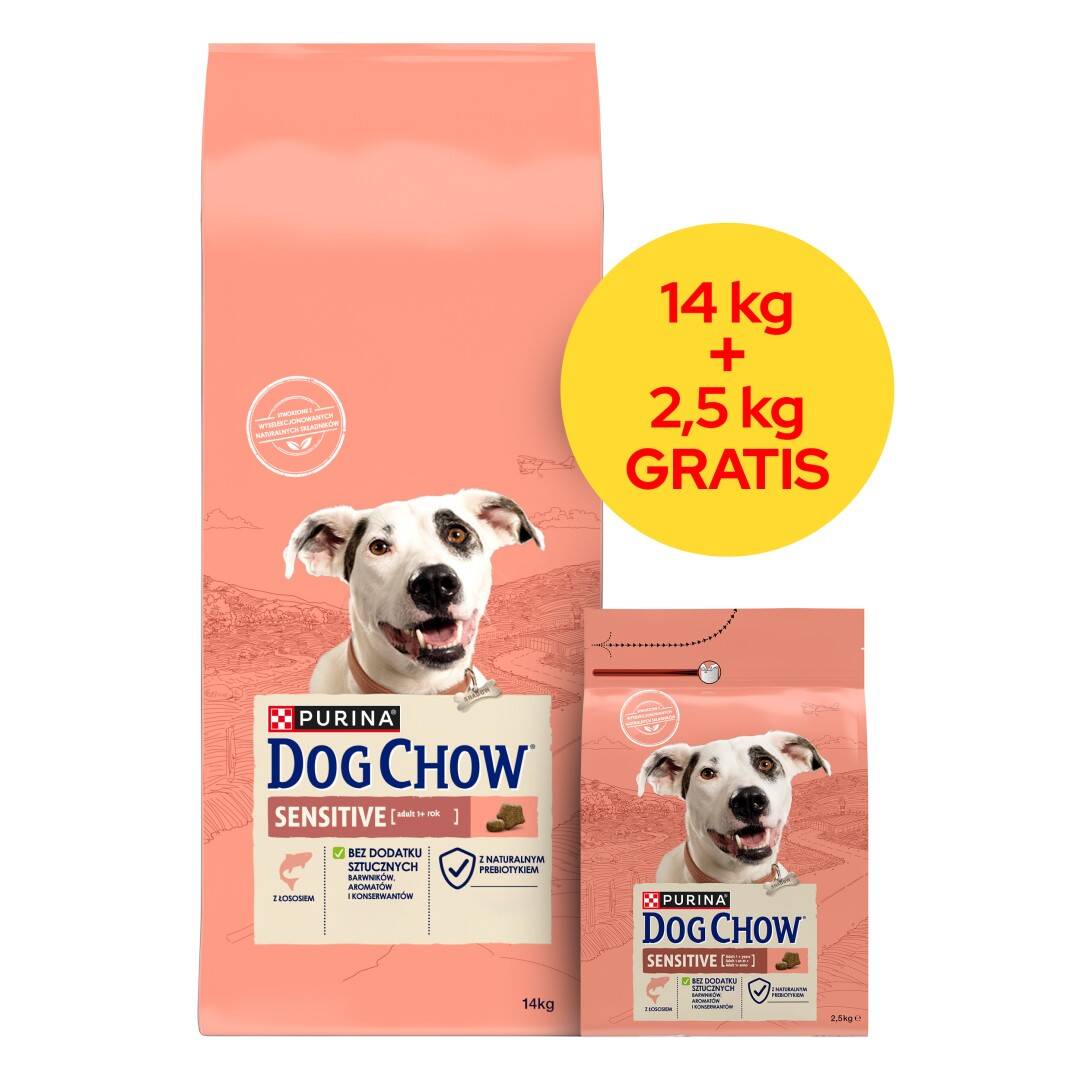 Purina Dog Chow Sensitive Adult Sucha Karma Dla Psa z Łososiem