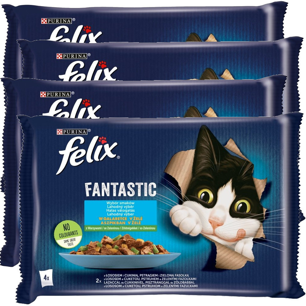 Felix Fantastic Karma Dla Kotów Wybór Smaków W Galaretce