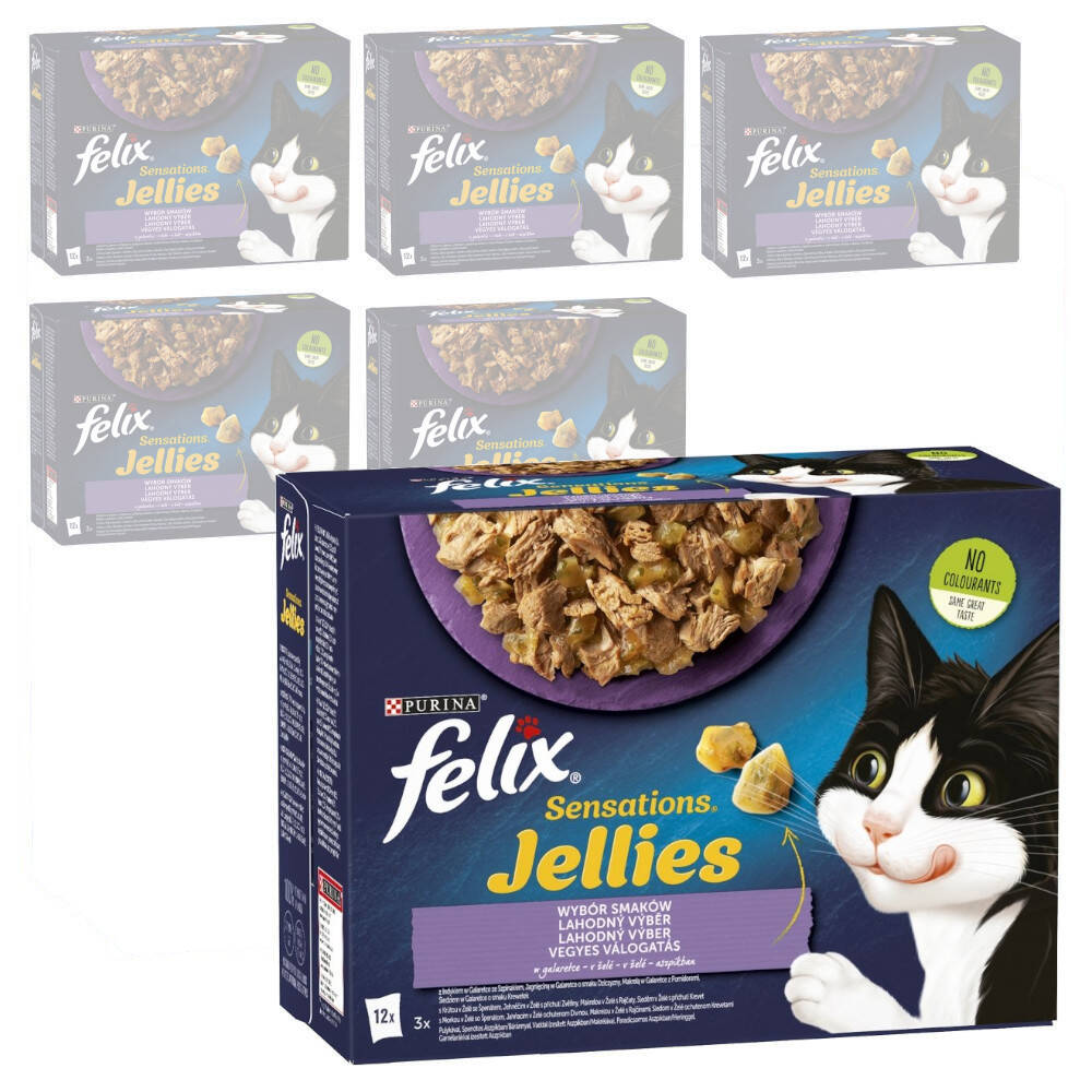 Felix Sensations Jellies Karma Dla Kotów Wybór Smaków W Galaretce