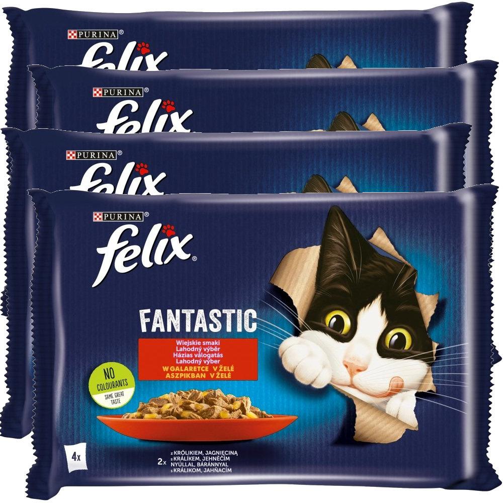 Felix Fantastic Karma Dla Kotów Wiejskie Smaki W Galaretce