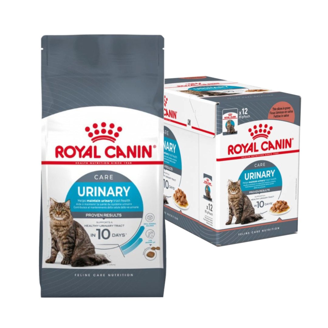 Royal Canin Hairball Care 10kg+12x85g Karma Dla Dorosłego Kota
