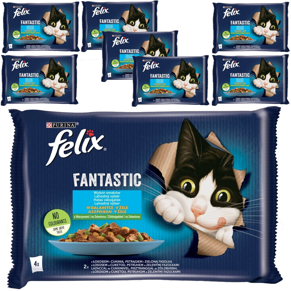 Felix Fantastic Karma Dla Kotów Wybór Smaków W Galaretce