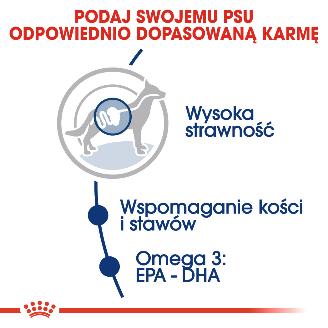 Dla Psów Dorosłych Ras Dużych 15kg + 3kg GRATIS