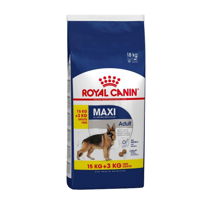 Royal Canin Maxi Adult Karma Sucha Dla Psów Dorosłych Ras Dużych