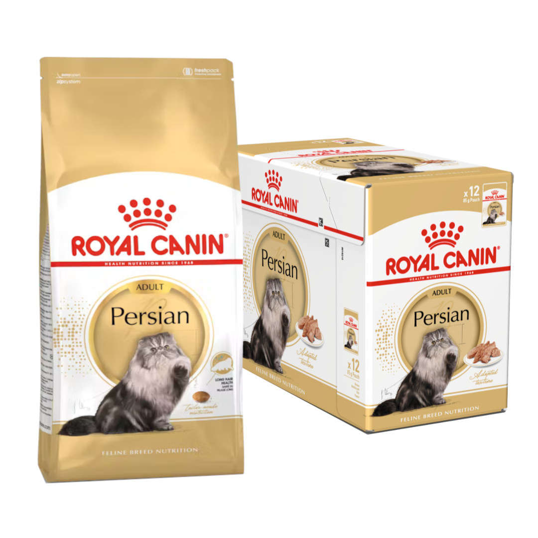 Royal Canin Persian Adult 10kg+12x85g Karma Dla Dorosłego Kota