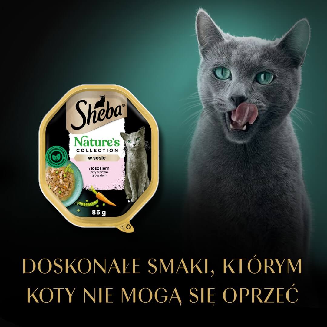 SHEBA tacka Nature's Collection z łososiem i zielonym groszkiem w sosie