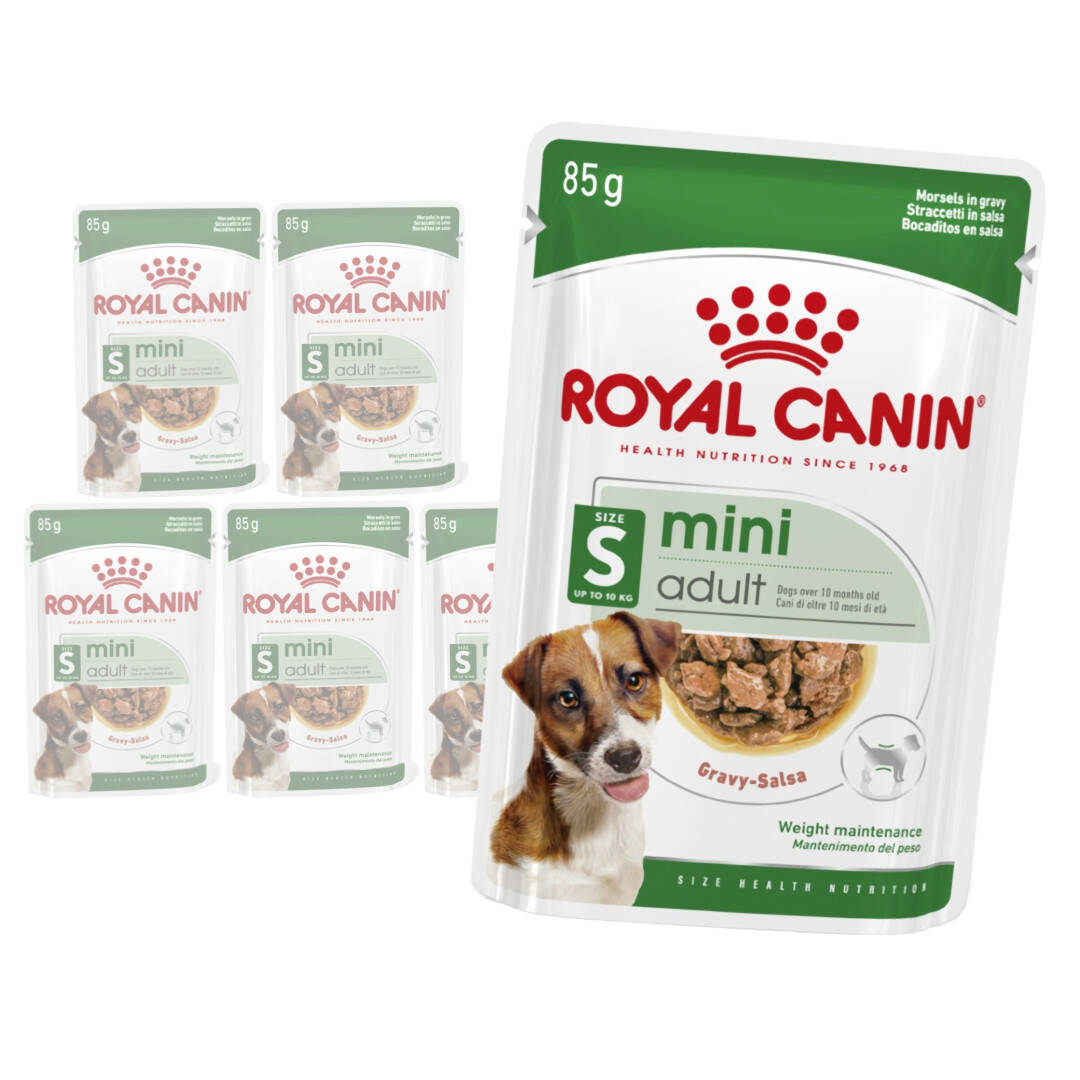 Royal Canin SHN Mini Adult 6x85g