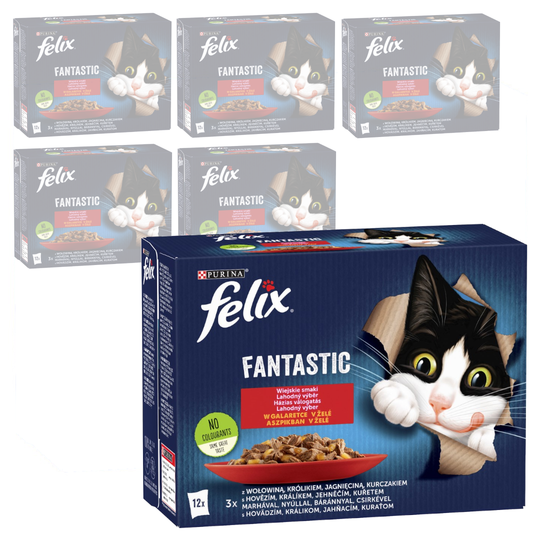 Felix Fantastic Karma Dla Kota Wiejskie Smaki W Galaretce