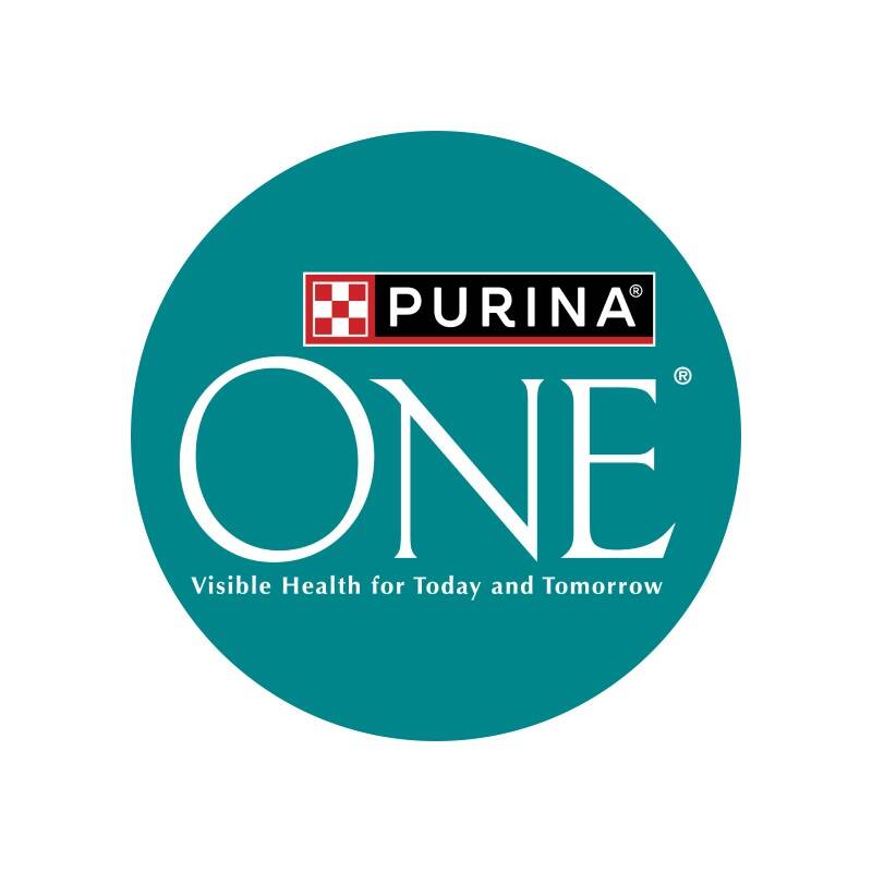 Purina One Senior 7+ Sucha Karma Dla Kota