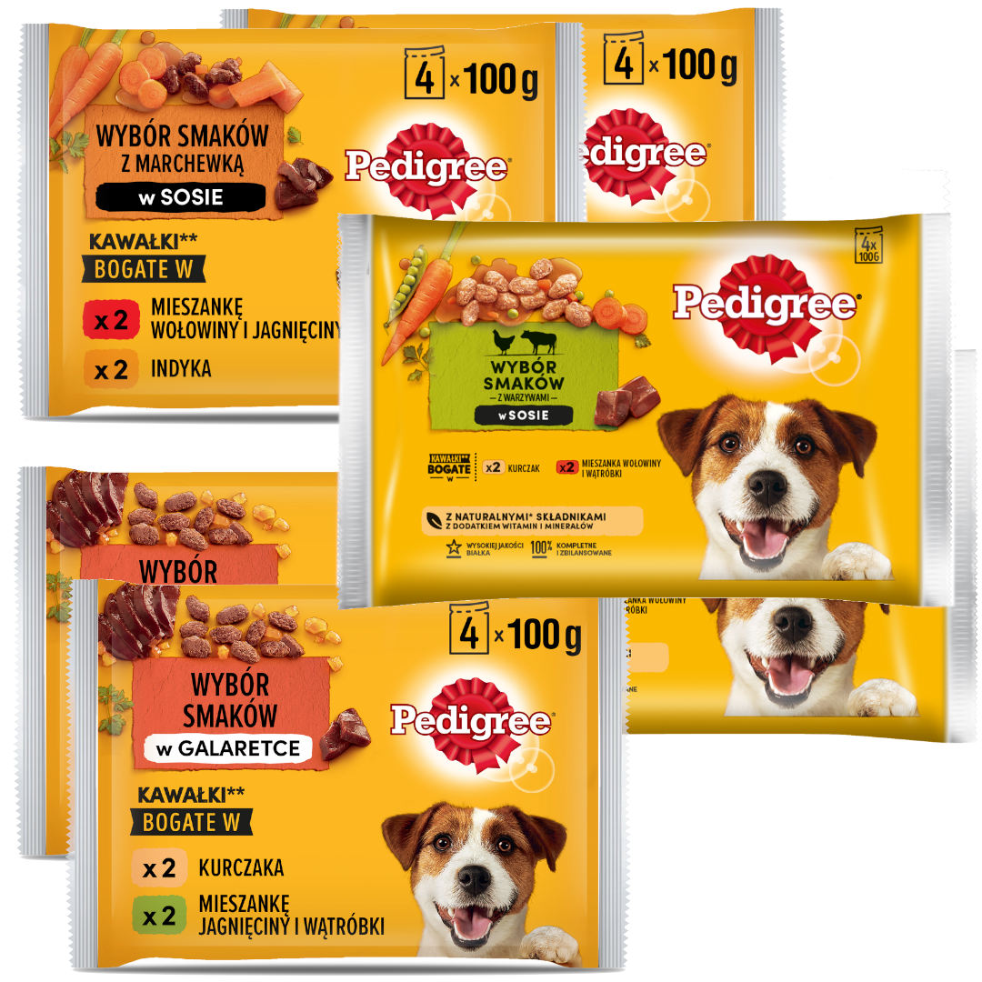 Pedigree Adult Saszetka 6x400g Wybór Smaków