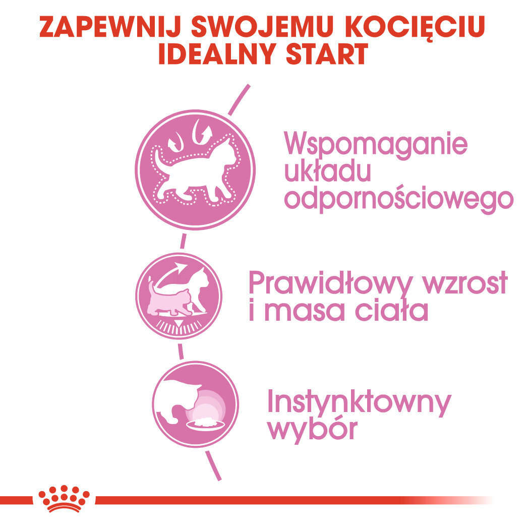 Karma Mokra Dla Kociąt Sterylizowanych Do 12 Miesiąca Życia