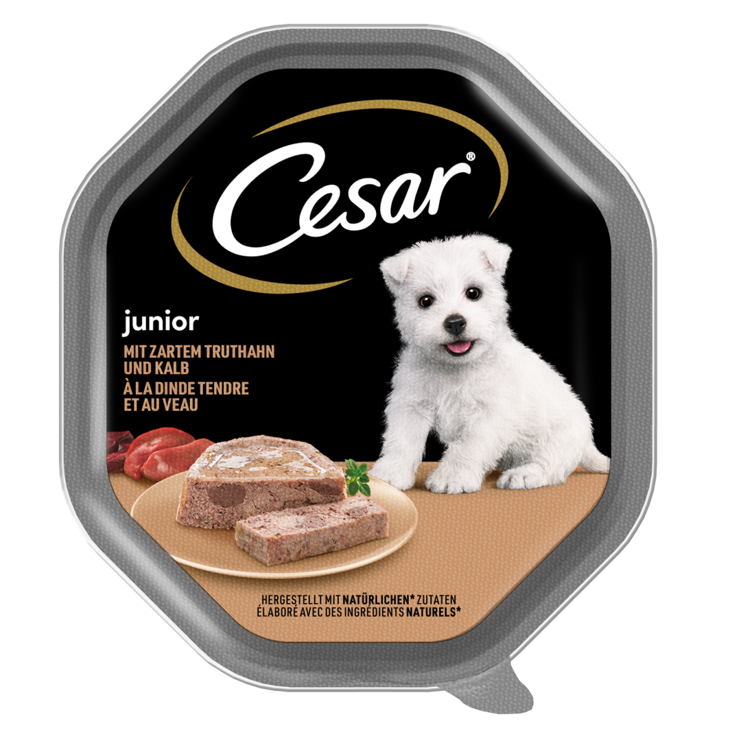 Cesar Junior 150G Mokra Karma Pełnoporcjowa Dla Szczeniąt, z Indykiem i Cielęciną, w Pasztecie