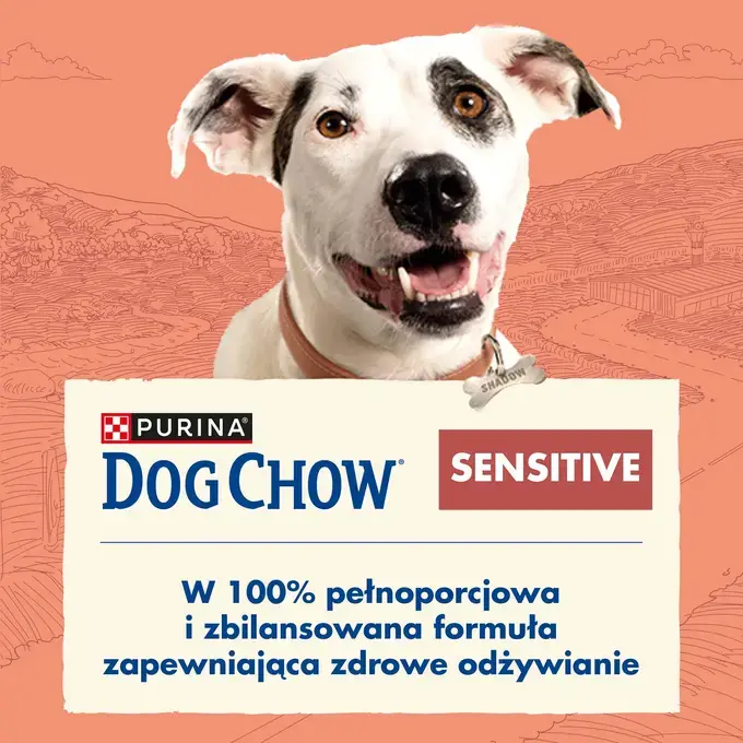 Sucha karma dla psa Purina