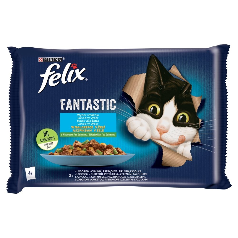 Felix Fantastic Karma Dla Kotów Wybór Smaków W Galaretce