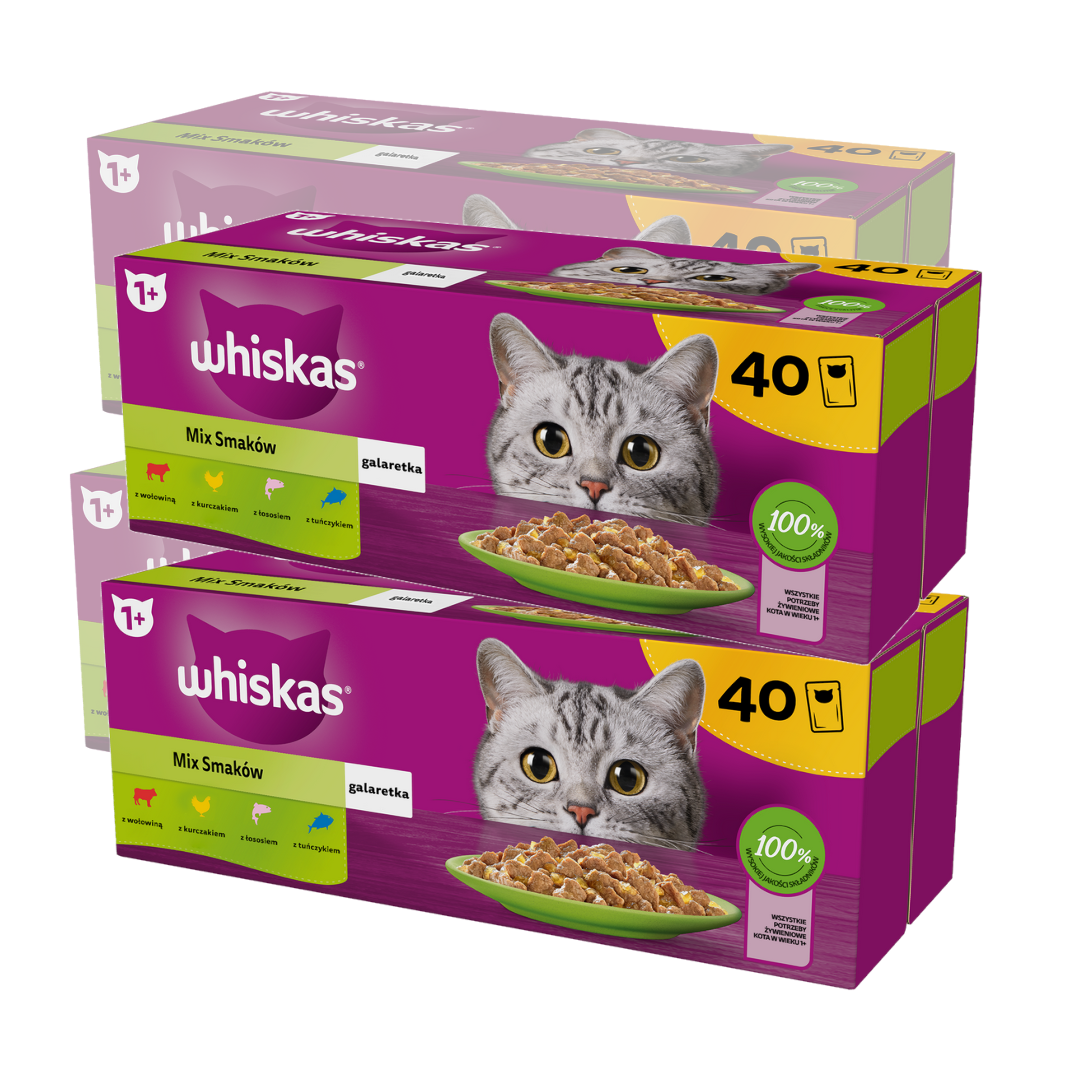 Whiskas Adult 160x85g Mix Smaków