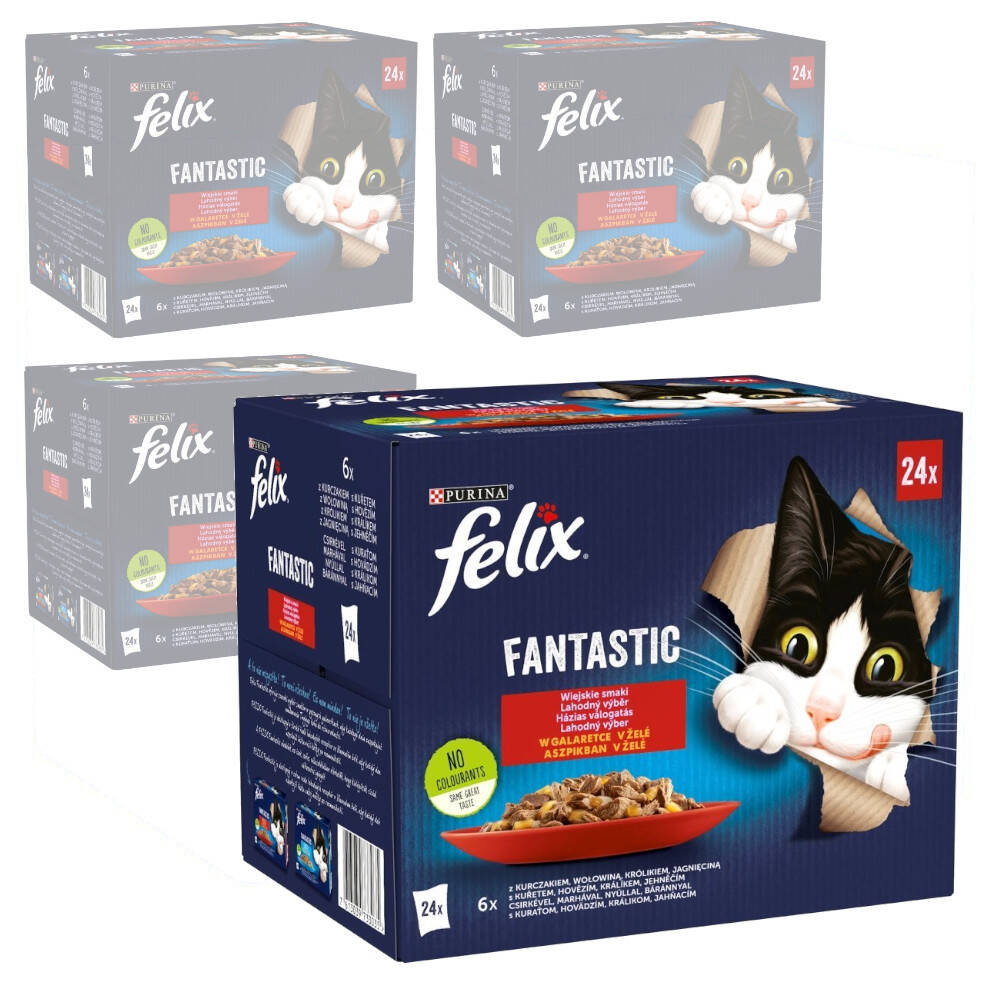 Felix Fantastic Karma Dla Kotów Wiejskie Smaki W Galaretce