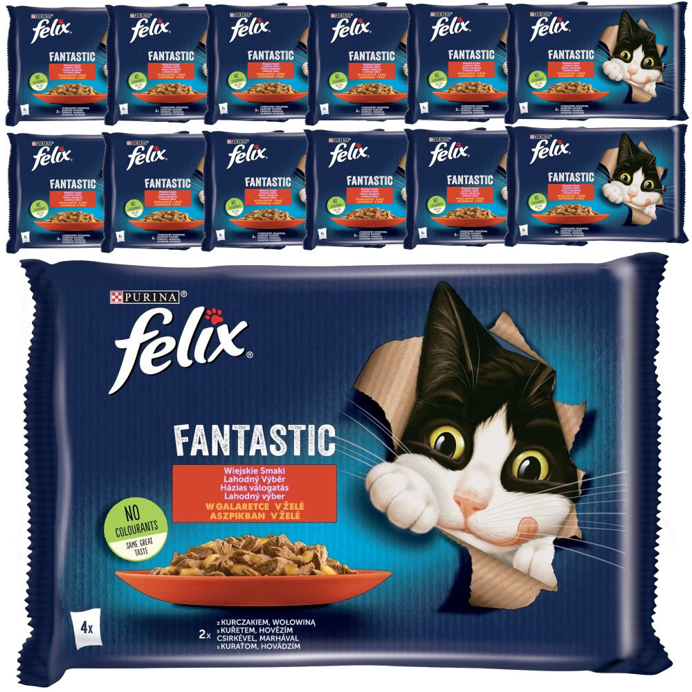 Felix Fantastic Karma Dla Kotów Wiejskie Smaki W Galaretce