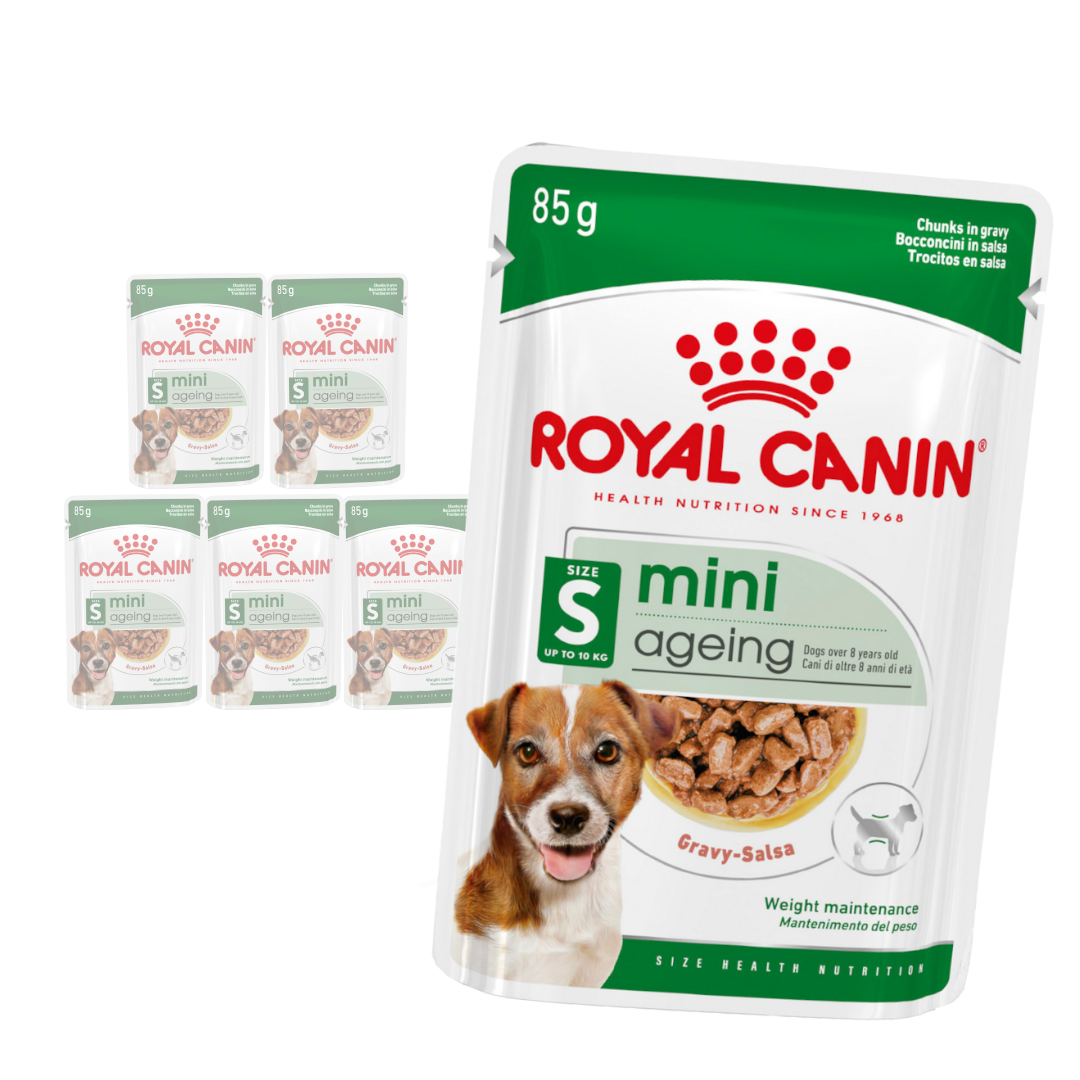 Royal Canin Mini Ageing Mokra Karma Dla Psów Dojrzałych I Starszych Ras Małych