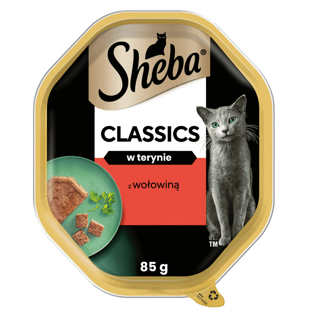 Sheba Classics 85g Z Wołowiną Mokra Karma Dla Kotów W Terynie