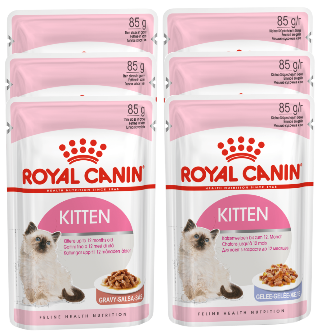 ROYAL CANIN Kitten Instinctive w sosie i galaretce 6x85g