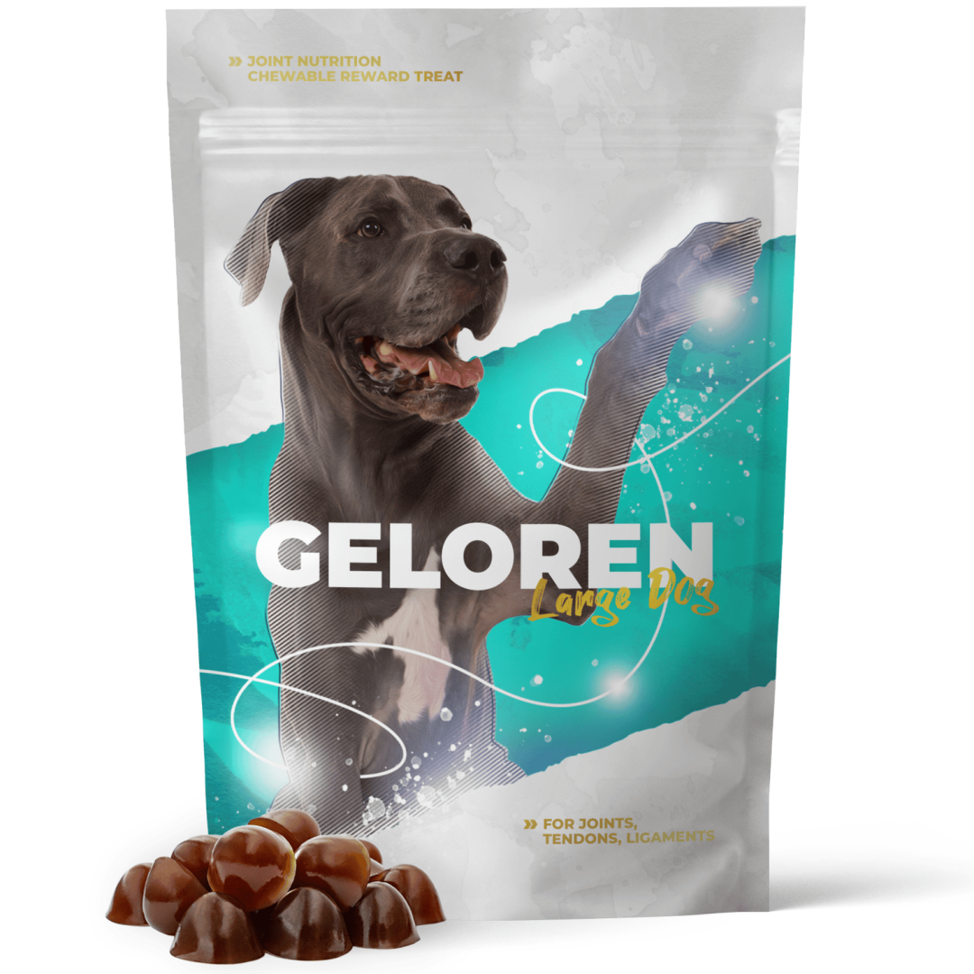Geloren Large Dog Suplement Diety Dla Dużych Psów 420g (60 Żelek) Wsparcie Stawów