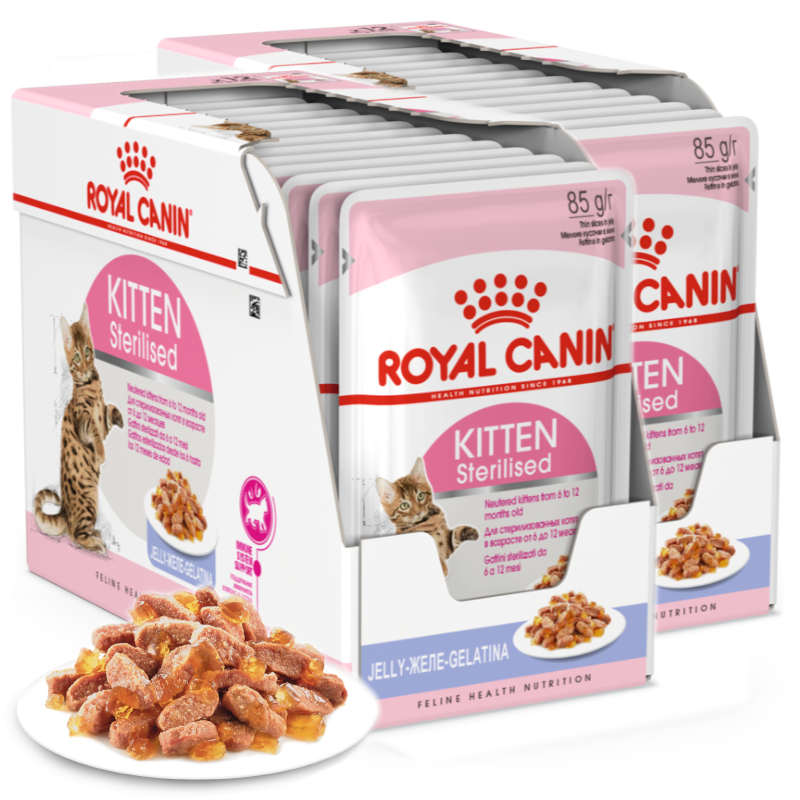 Royal Canin Kitten Sterilised W Galaretce Karma Mokra Dla Kociąt