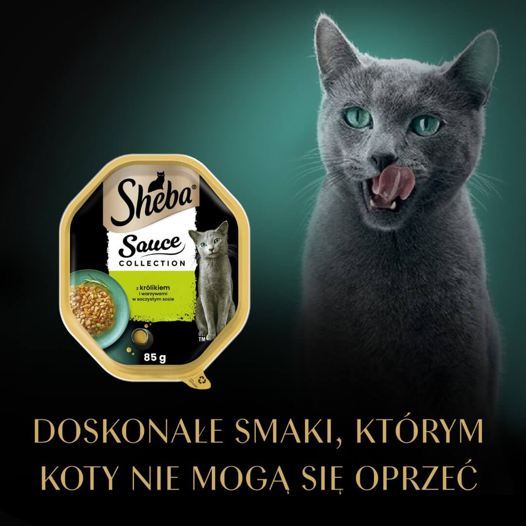 SHEBA Sauce Collection Z Królikiem I Warzywami Mokra Karma Dla Kota W Sosie