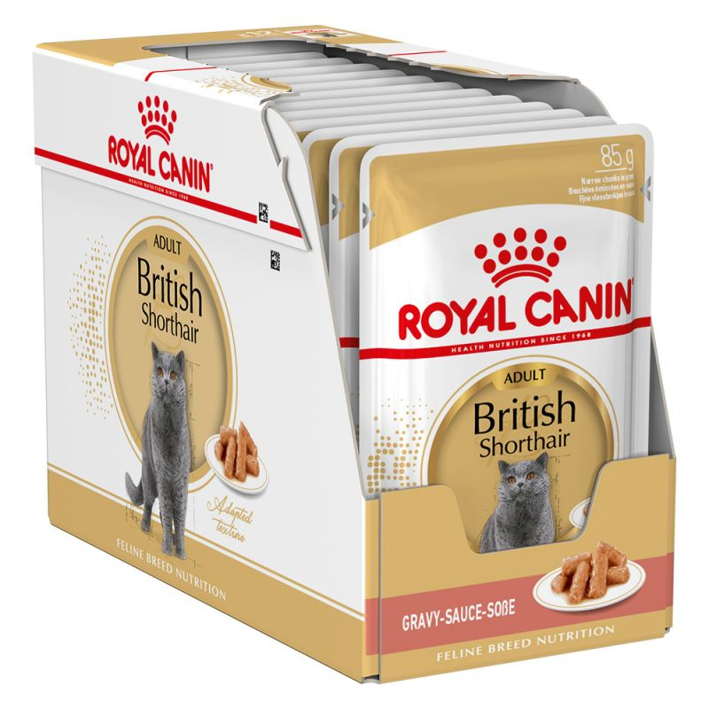 Royal Canin British Shorthair 10kg+12x85g Karma Dla Dorosłego Kota