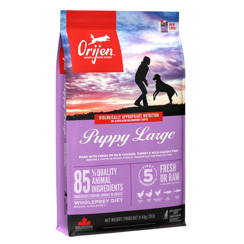 Orijen Puppy Large 11,4kg Sucha Karma Dla Szczeniąt Dużych Ras