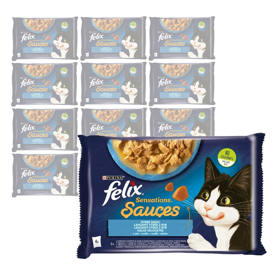 Felix Sensations Sauces Karma Dla Kotów Smaki Rybne W Sosie 