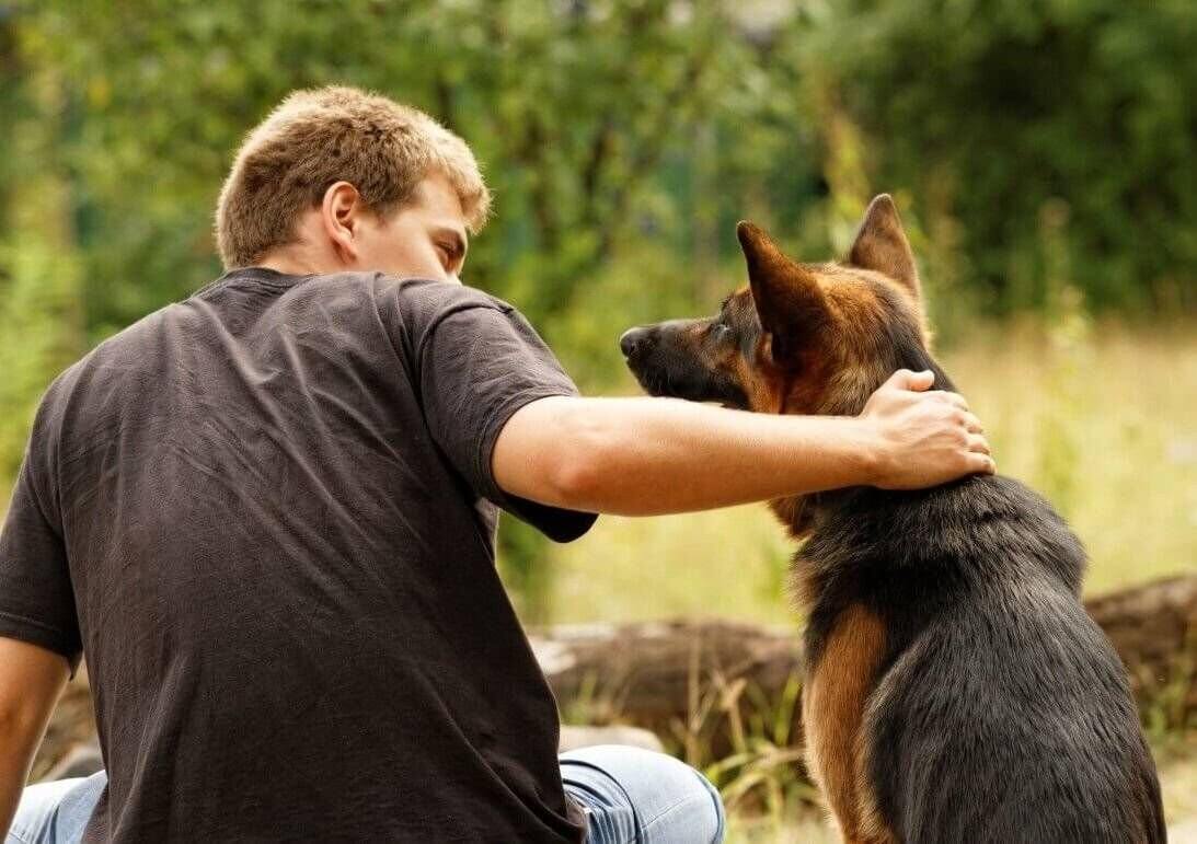 Pies i właściciel