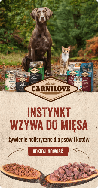 Carnilove poznaj nowość