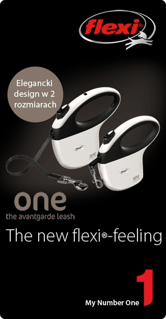 Flexi One nowość