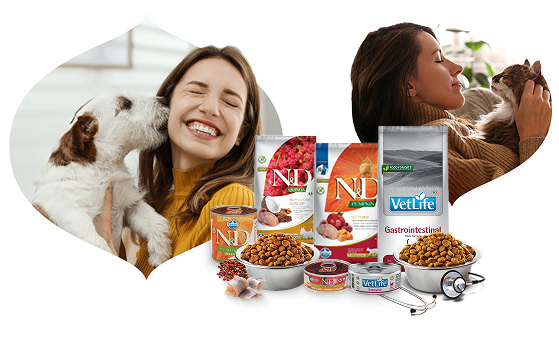 Happy owner with dogs