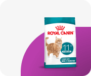 Sucha karma dla kota