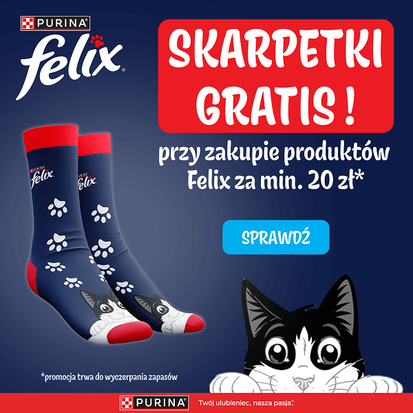 Felix skarpetki