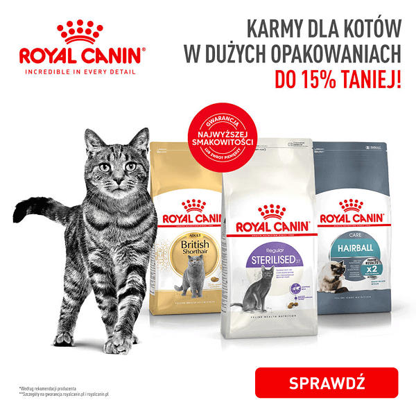 Royal Canin kot duże opakowania