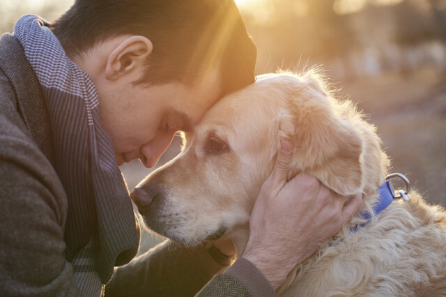 10 sposobów jak psy okazują miłość, które warto znać