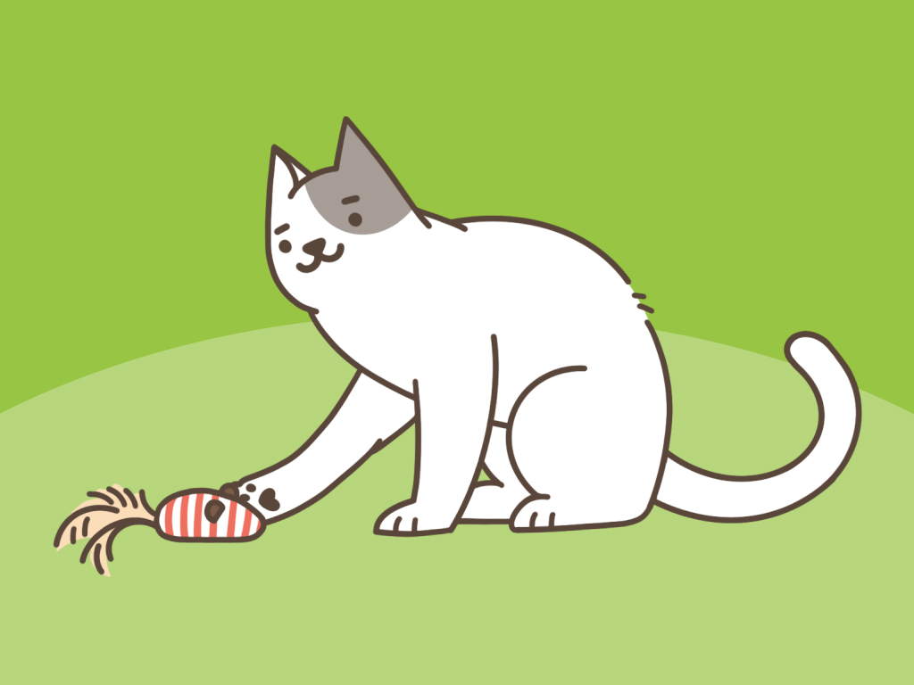 Najlepsze domowe zabawy z kotem — jak spędzić czas wolny z wąsaczem