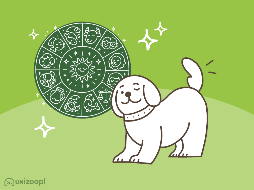 Co mówi znak zodiaku o Twoim psie? Sprytne podpowiedzi Unizoo