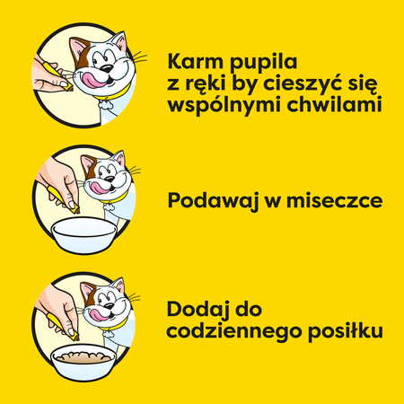 Dreamies Creamy 48x10g Kremowy Przysmak Dla Kota Z Serem I Z Kocimiętką