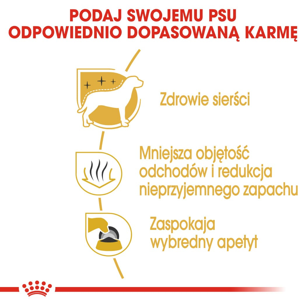 Karma Sucha Dla Psów Dorosłych Rasy Maltańczyk