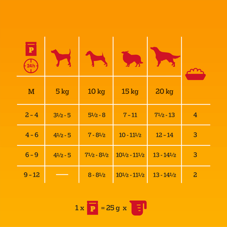 Pedigree Junior Wybór Smaków 120x100g Mokra Karma Dla Szczeniąt Wołowina Kurczak Jagnięcina Ryż W Galaretce
