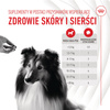 Royal Canin Supplements Dog Skin & Coat Adult 240g Suplementy Dla Psów Dorosłych w Postaci Przysmaków Wsparcie Zdrowia Skóry i Sierści