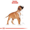 Royal Canin Puppy Boxer Sucha Karma Dla Szczeniąt 12kg + Mokra W Sosie 12x85g