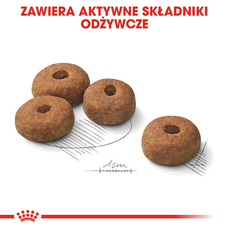 Royal Canin CCN Maxi Sterilised 3kg Karma Sucha Dla Psów Dorosłych Ras Dużych Sterylizowanych