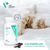 Vet Expert Calm & Relax Suplementy Dla Psa I Kota Objawy Stresu 30szt Kapsułek