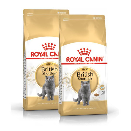 ROYAL CANIN British Shorthair 2x4kg karma sucha dla kotów dorosłych rasy brytyjski krótkowłosy