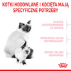 Royal Canin Mother&babycat 2kg Karma Sucha Dla Kotek W Okresie Ciąży, Laktacji I Kociąt